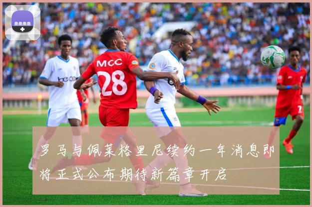 罗马与佩莱格里尼续约一年消息即将正式公布期待新篇章开启